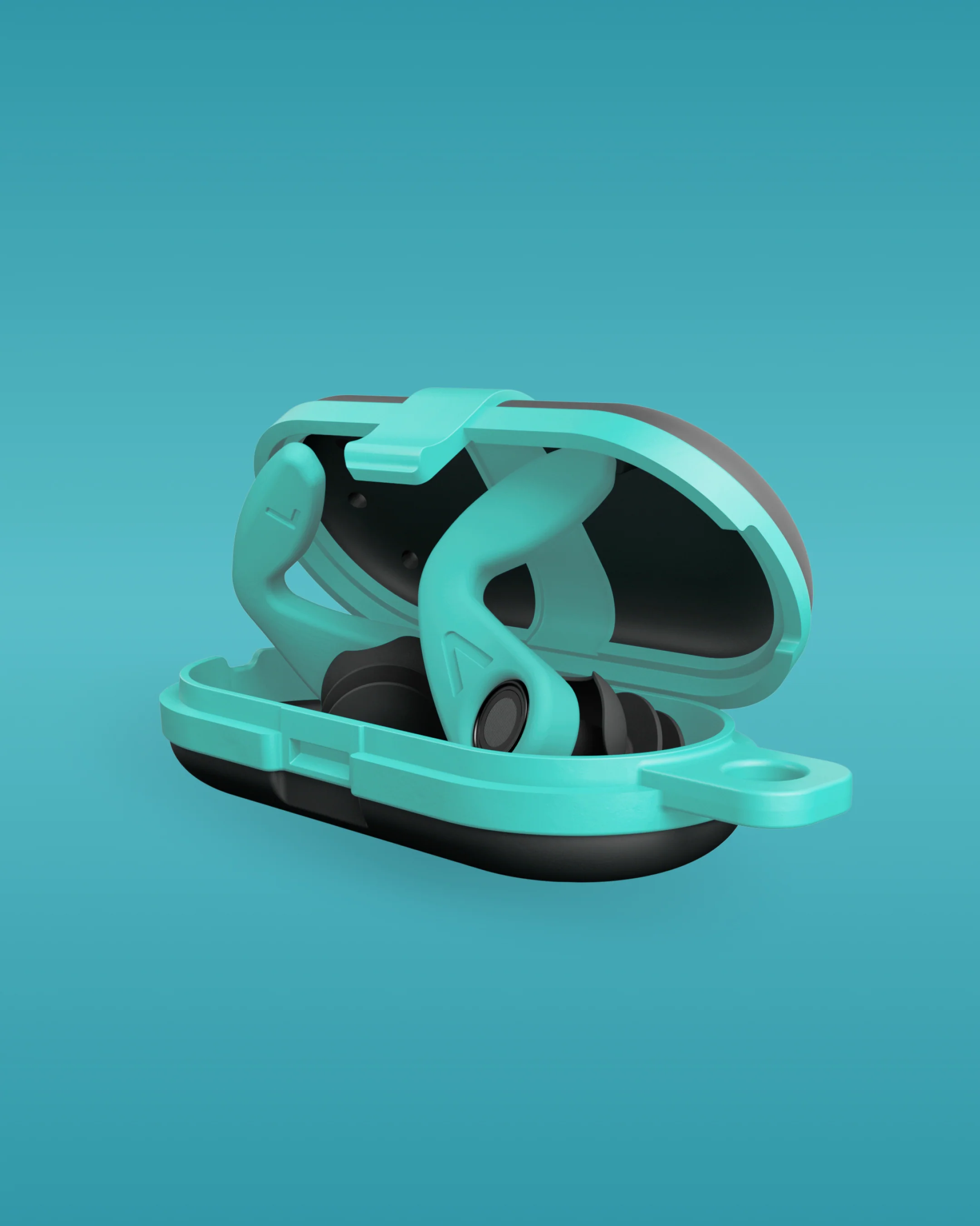 Miniatuur 2